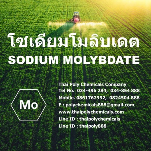 Sodium Molybdate 144