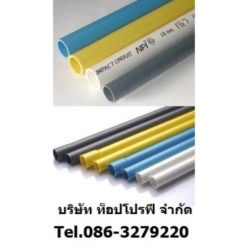 T09