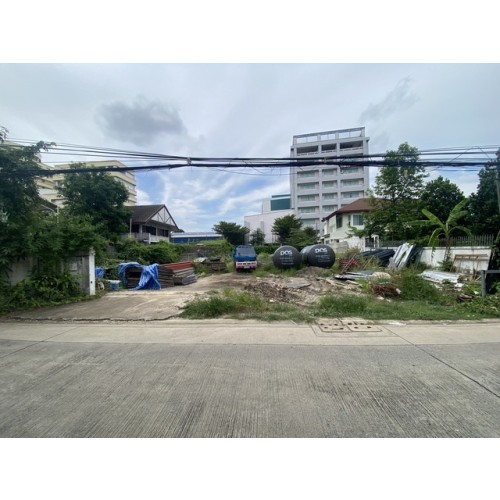 525346pic1