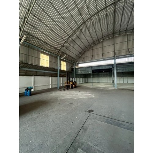 525336pic1