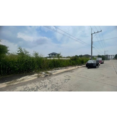 320516pic2