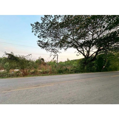 320646pic2