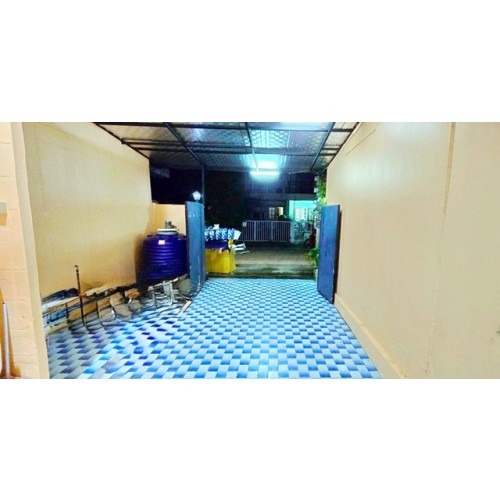 320667pic2