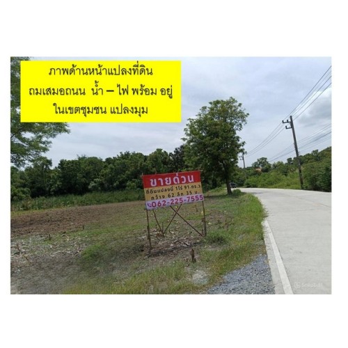 294971pic2