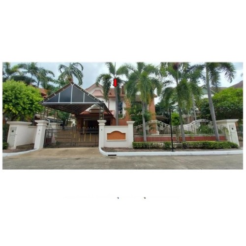 268681pic1