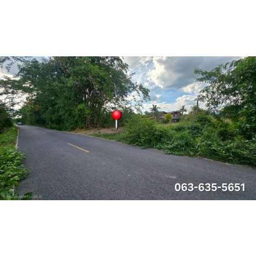 526542pic2