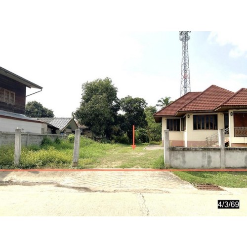 270202pic1