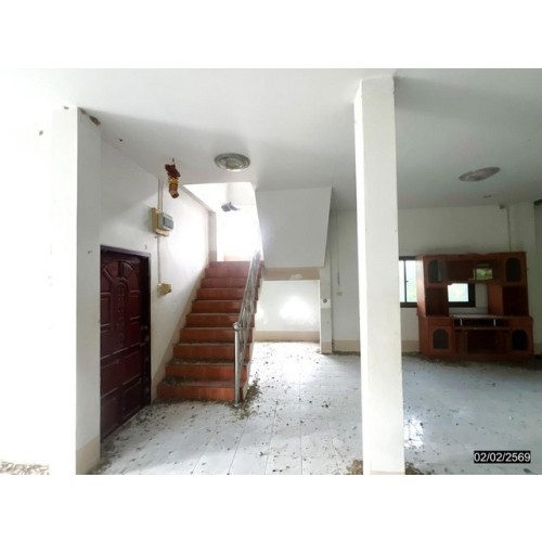 270209pic2