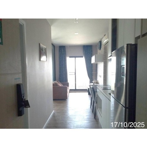 268905pic2