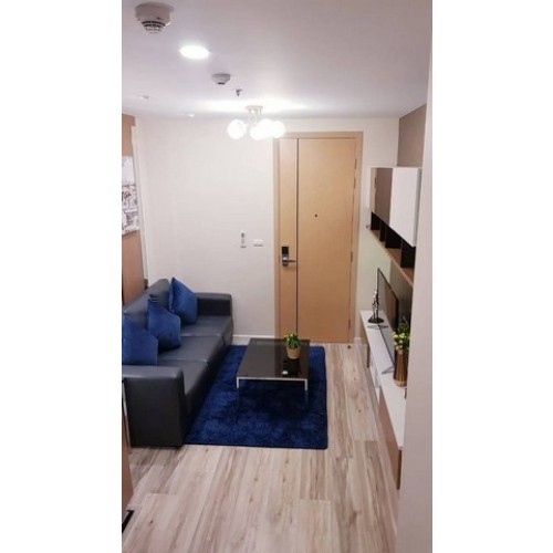 304142pic1