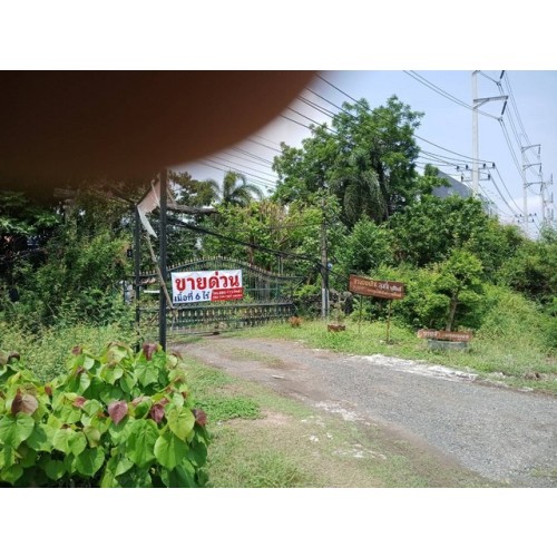271796pic2