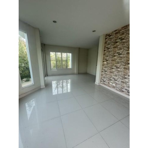 527309pic2