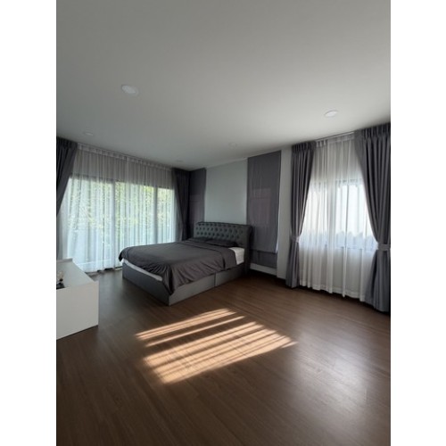 527391pic1