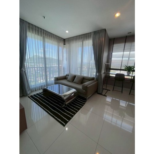304436pic2