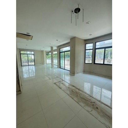 527313pic2