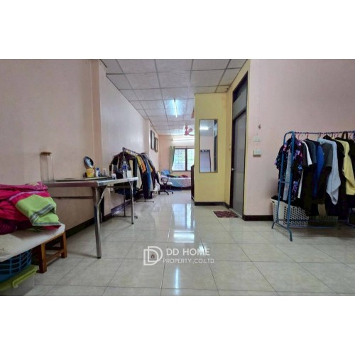 527560pic2