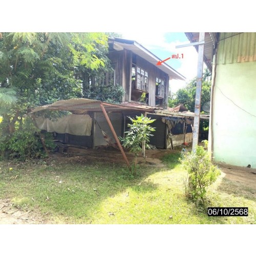 271695pic2