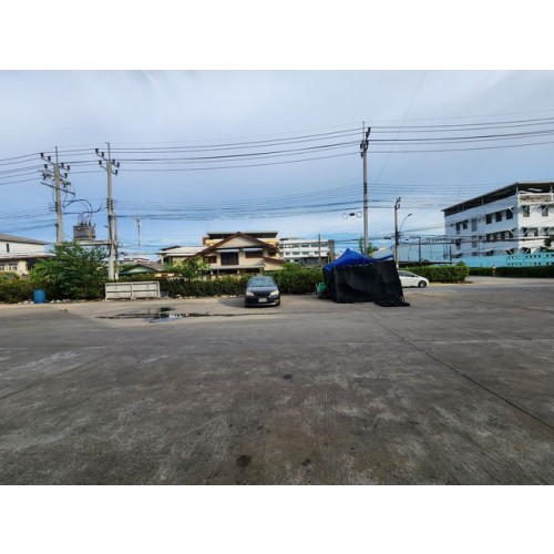 527699pic2