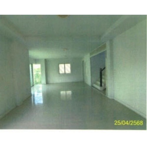 527753pic2