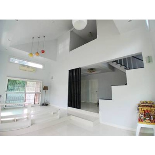 295157pic1