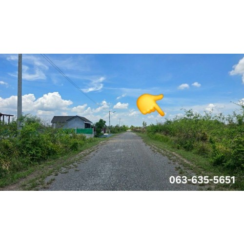 528072pic1