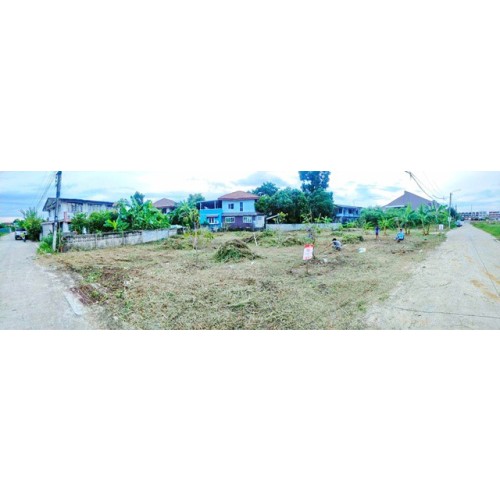 272909pic2