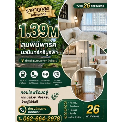 322149pic1