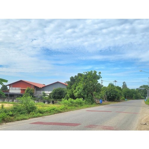 322169pic2
