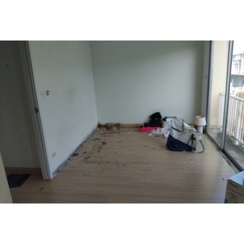 270228pic2