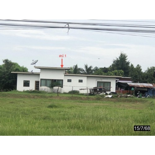 272540pic2
