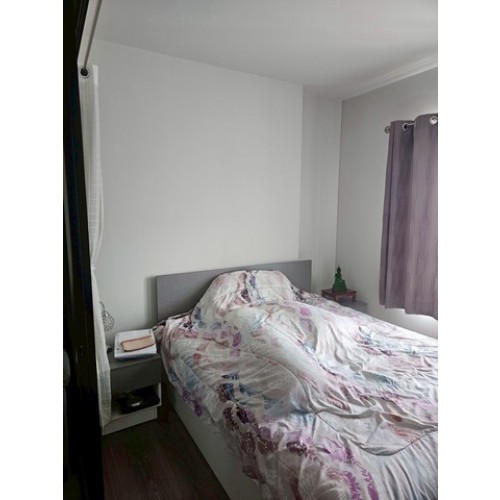 273012pic1