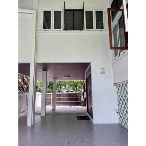 528649pic2
