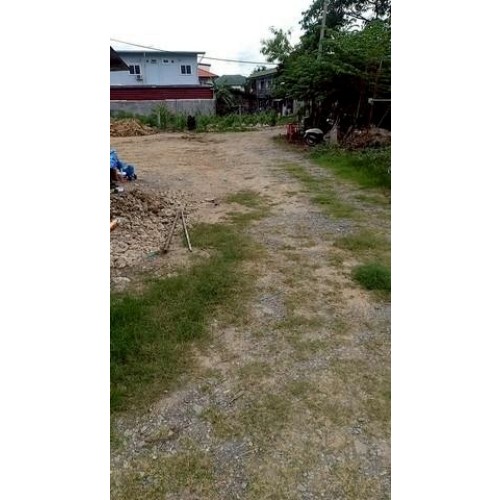 322509pic1