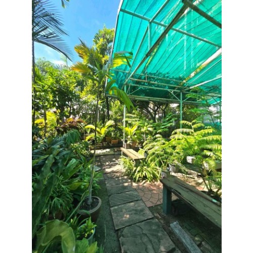 322538pic1