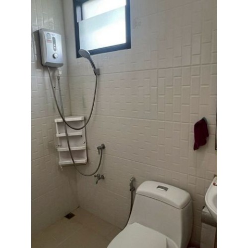 273940pic2
