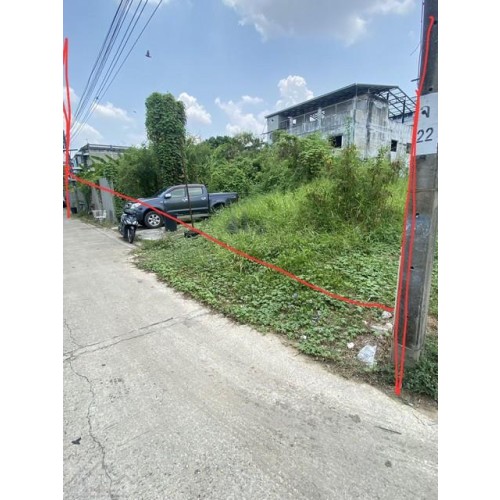 525029pic2