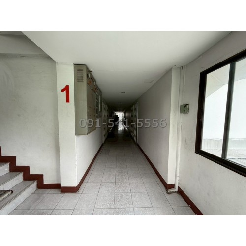 290356pic2