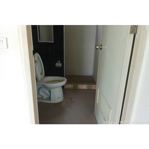 274953pic2