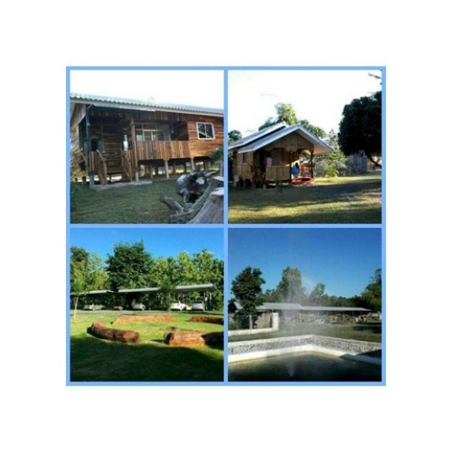 275001pic1