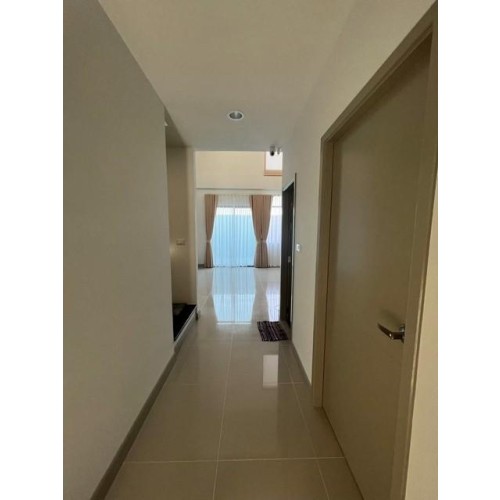 528939pic2