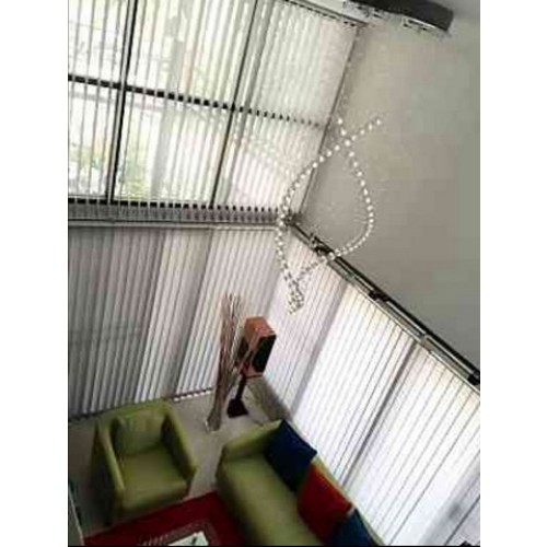 529147pic2