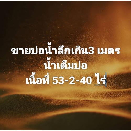 322851pic1