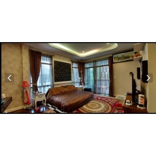 529223pic1