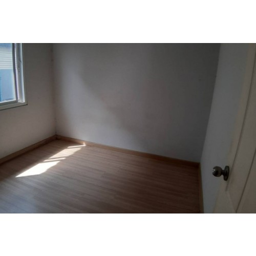 275073pic2