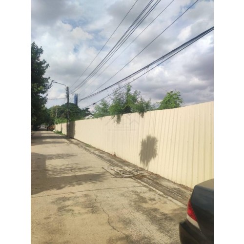529243pic2
