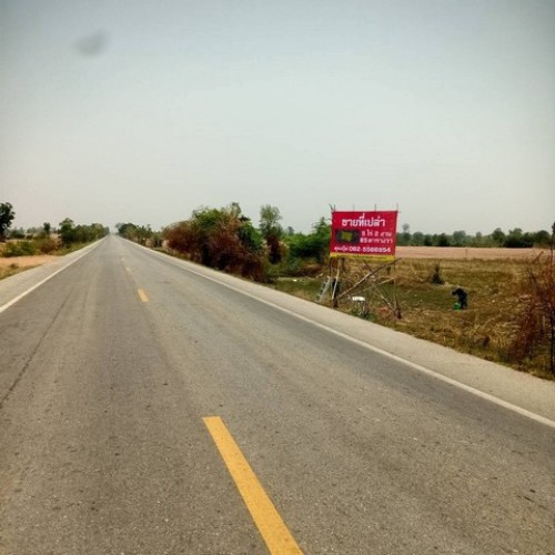 323063pic1