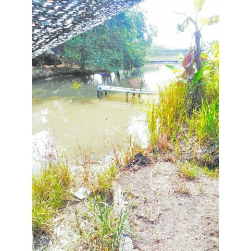 275469pic2