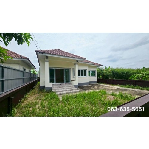 529353pic2