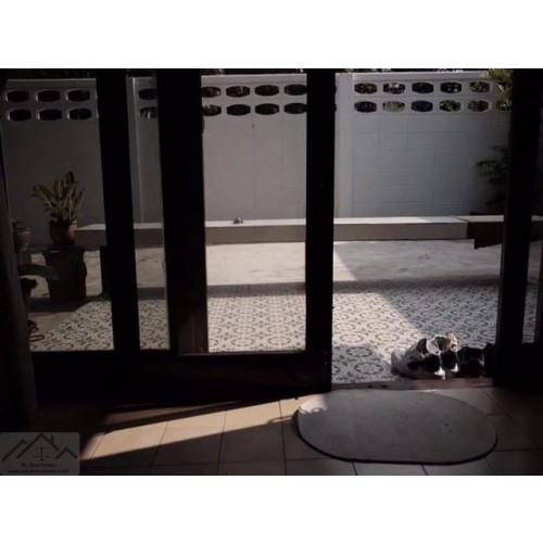 524027pic2