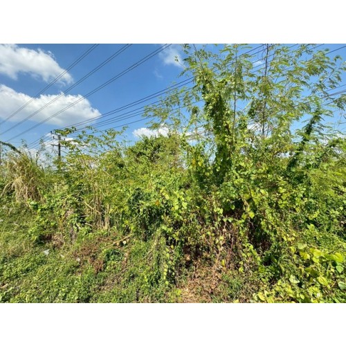 323160pic2